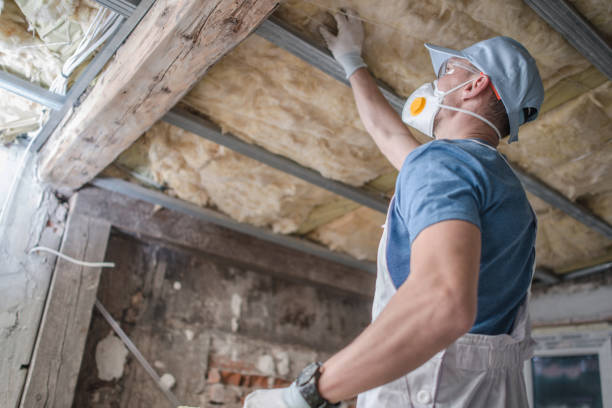 Best Insulation Contractor Near Me  in Sam Rayburn, TX