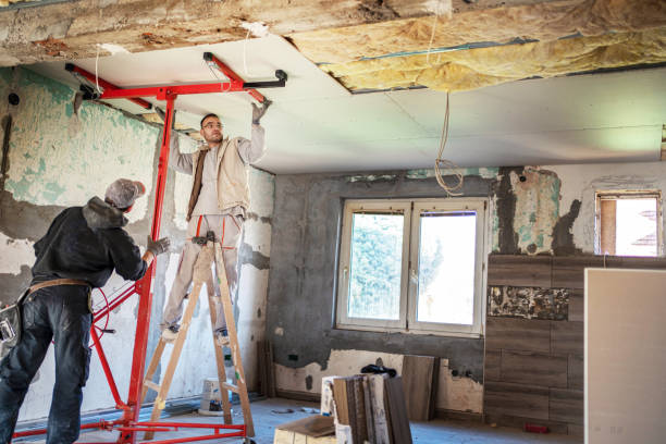 Best Blown-in Insulation  in Sam Rayburn, TX