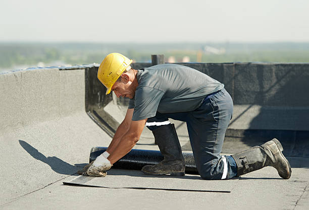 Best Insulation Removal  in Sam Rayburn, TX